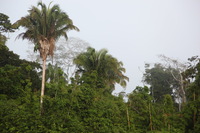 Canon EOS 5D Mark II, 2010:05:05 07:57:19 -- 1/200 sec, f/5.0.  No Flash, Compulsory.5616x3744 Off.