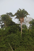 Canon EOS 5D Mark II, 2010:05:05 08:00:25 -- 1/250 sec, f/5.6.  No Flash, Compulsory.5616x3744 Off.