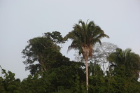 Canon EOS 5D Mark II, 2010:05:05 08:02:54 -- 1/250 sec, f/6.3.  No Flash, Compulsory.5616x3744 Off.