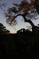 Canon EOS 5D Mark II, 2010:05:05 18:16:16 -- 1/100 sec, f/7.1.  No Flash, Compulsory.5616x3744 Off.