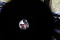 Canon EOS 5D Mark II, 2010:05:05 08:37:34 -- 1/125 sec, f/6.3.  No Flash, Compulsory.5616x3744 Off.