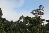 Canon EOS 5D Mark II, 2010:05:05 09:10:29 -- 1/320 sec, f/6.3.  No Flash, Compulsory.5616x3744 Off.