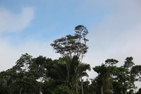 Canon EOS 5D Mark II, 2010:05:05 09:10:30 -- 1/320 sec, f/7.1.  No Flash, Compulsory.5616x3744 Off.