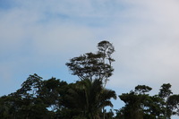 Canon EOS 5D Mark II, 2010:05:05 09:28:46 -- 1/400 sec, f/7.1.  No Flash, Compulsory.5616x3744 Off.