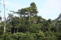 Canon EOS 5D Mark II, 2010:05:05 09:29:44 -- 1/200 sec, f/5.0.  No Flash, Compulsory.5616x3744 Off.