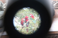 Canon EOS 5D Mark II, 2010:05:05 09:35:21 -- 1/80 sec, f/4.0.  No Flash, Compulsory.5616x3744 Off.