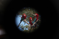 Canon EOS 5D Mark II, 2010:05:05 09:40:21 -- 1/60 sec, f/7.1.  No Flash, Compulsory.5616x3744 Off.