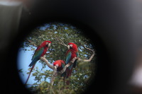 Canon EOS 5D Mark II, 2010:05:05 09:40:33 -- 1/60 sec, f/4.0.  No Flash, Compulsory.5616x3744 Off.