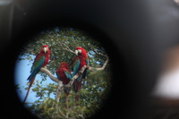 Canon EOS 5D Mark II, 2010:05:05 09:40:46 -- 1/60 sec, f/4.0.  No Flash, Compulsory.5616x3744 Off.