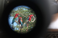 Canon EOS 5D Mark II, 2010:05:05 09:43:09 -- 1/60 sec, f/4.0.  No Flash, Compulsory.5616x3744 Off.