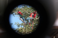 Canon EOS 5D Mark II, 2010:05:05 09:43:46 -- 1/60 sec, f/4.0.  No Flash, Compulsory.5616x3744 Off.