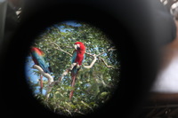 Canon EOS 5D Mark II, 2010:05:05 09:44:15 -- 1/60 sec, f/4.0.  No Flash, Compulsory.5616x3744 Off.