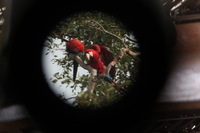 Canon EOS 5D Mark II, 2010:05:05 09:48:15 -- 1/60 sec, f/4.0.  No Flash, Compulsory.5616x3744 Off.