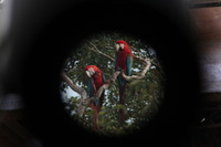 Canon EOS 5D Mark II, 2010:05:05 09:49:37 -- 1/60 sec, f/4.0.  No Flash, Compulsory.5616x3744 Off.