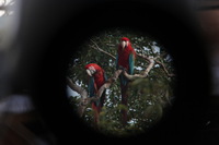 Canon EOS 5D Mark II, 2010:05:05 09:49:38 -- 1/60 sec, f/4.0.  No Flash, Compulsory.5616x3744 Off.