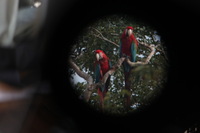 Canon EOS 5D Mark II, 2010:05:05 09:49:43 -- 1/60 sec, f/4.0.  No Flash, Compulsory.5616x3744 Off.