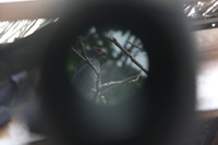 Canon EOS 5D Mark II, 2010:05:05 09:56:21 -- 1/40 sec, f/4.0.  No Flash, Compulsory.5616x3744 Off.