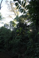 Canon EOS 5D Mark II, 2010:05:05 17:05:24 -- 1/50 sec, f/5.0.  No Flash, Compulsory.5616x3744 Off.