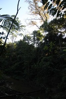 Canon EOS 5D Mark II, 2010:05:05 17:05:36 -- 1/60 sec, f/5.6.  No Flash, Compulsory.5616x3744 Off.