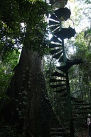 Canon EOS 5D Mark II, 2010:05:05 17:07:09 -- 1/20 sec, f/4.0.  No Flash, Compulsory.5616x3744 Off.