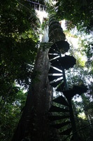 Canon EOS 5D Mark II, 2010:05:05 17:07:15 -- 1/20 sec, f/4.0.  No Flash, Compulsory.5616x3744 Off.