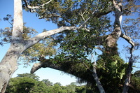 Canon EOS 5D Mark II, 2010:05:05 17:11:40 -- 1/100 sec, f/7.1.  No Flash, Compulsory.5616x3744 Off.