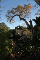 Canon EOS 5D Mark II, 2010:05:05 17:12:41 -- 1/160 sec, f/8.0.  No Flash, Compulsory.5616x3744 Off.