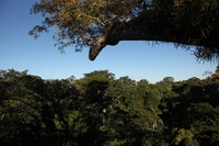 Canon EOS 5D Mark II, 2010:05:05 17:15:45 -- 1/200 sec, f/10.0.  No Flash, Compulsory.5616x3744 Off.