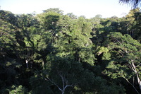 Canon EOS 5D Mark II, 2010:05:05 17:15:52 -- 1/80 sec, f/6.3.  No Flash, Compulsory.5616x3744 Off.