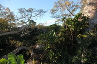 Canon EOS 5D Mark II, 2010:05:05 17:16:09 -- 1/100 sec, f/7.1.  No Flash, Compulsory.5616x3744 Off.