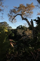 Canon EOS 5D Mark II, 2010:05:05 17:16:28 -- 1/160 sec, f/8.0.  No Flash, Compulsory.5616x3744 Off.