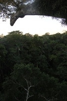 Canon EOS 5D Mark II, 2010:05:05 18:19:40 -- 1/40 sec, f/4.0.  No Flash, Compulsory.5616x3744 Off.