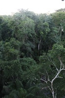 Canon EOS 5D Mark II, 2010:05:05 18:19:56 -- 1/20 sec, f/4.0.  No Flash, Compulsory.5616x3744 Off.