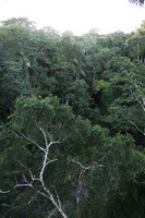 Canon EOS 5D Mark II, 2010:05:05 18:20:06 -- 1/20 sec, f/4.0.  No Flash, Compulsory.5616x3744 Off.