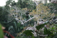 Canon EOS 5D Mark II, 2010:05:05 18:21:12 -- 1/60 sec, f/4.0.  No Flash, Compulsory.5616x3744 Off.