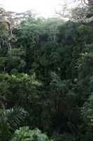 Canon EOS 5D Mark II, 2010:05:05 18:25:36 -- 1/25 sec, f/4.0.  No Flash, Compulsory.5616x3744 Off.