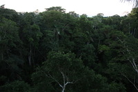 Canon EOS 5D Mark II, 2010:05:05 18:28:02 -- 1/20 sec, f/4.0.  No Flash, Compulsory.5616x3744 Off.