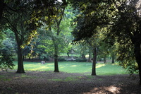 Canon EOS 5D Mark II, 2010:05:28 13:13:33 -- 1/60 sec, f/4.0.  No Flash, Compulsory.5616x3744 Off.