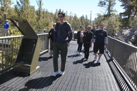 Canon EOS 5D Mark II, 2010:09:10 16:04:58 -- 1/100 sec, f/7.1.  No Flash, Compulsory.5616x3744 Off.