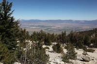 Canon EOS 5D Mark II, 2010:09:10 16:45:15 -- 1/250 sec, f/11.0.  No Flash, Compulsory.5616x3744 Off.