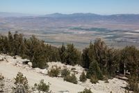 Canon EOS 5D Mark II, 2010:09:10 17:25:15 -- 1/125 sec, f/16.0.  No Flash, Compulsory.5616x3744 Off.