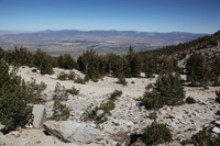 Canon EOS 5D Mark II, 2010:09:10 17:25:20 -- 1/125 sec, f/16.0.  No Flash, Compulsory.5616x3744 Off.