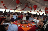 Canon EOS 5D Mark II, 2010:09:11 20:29:48 -- 1/60 sec, f/9.0.  Flash, Compulsory.5616x3744 External Flash.