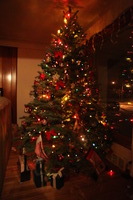 Canon EOS 5D Mark II, 2011:01:11 06:57:06 -- 1/15 sec, f/4.0.  No Flash, Compulsory.5616x3744 Off.