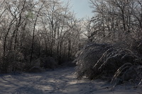 Canon EOS 5D Mark II, 2011:02:23 17:27:59 -- 1/500 sec, f/11.0.  No Flash, Compulsory.5616x3744 Off.