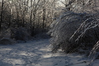 Canon EOS 5D Mark II, 2011:02:23 17:28:08 -- 1/500 sec, f/10.0.  No Flash, Compulsory.5616x3744 Off.