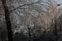 Canon EOS 5D Mark II, 2011:02:23 17:30:12 -- 1/640 sec, f/10.0.  No Flash, Compulsory.5616x3744 Off.