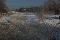Canon EOS 5D Mark II, 2011:02:23 17:35:02 -- 1/320 sec, f/13.0.  No Flash, Compulsory.5616x3744 Off.