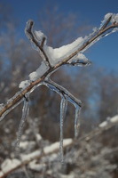 Canon EOS 5D Mark II, 2011:02:23 17:47:13 -- 1/320 sec, f/8.0.  No Flash, Compulsory.5616x3744 Off.