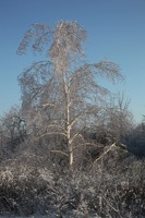 Canon EOS 5D Mark II, 2011:02:23 17:58:30 -- 1/320 sec, f/7.1.  No Flash, Compulsory.5616x3744 Off.